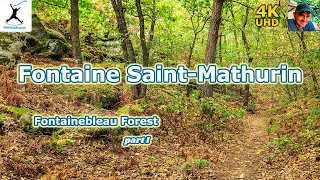 Escape into Nature: Unveiling the Beauty of Fontainebleau Forest