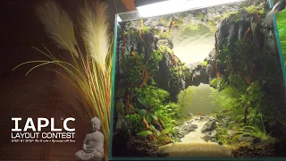 Make IAPLC Aquarium without Rock l 12 Month Update Snakehead And Tiny Frog