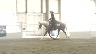 6 1 24   Buckeye Reining Spectacular   Clark Bradley Memorial NP Ranch Riding   Lori Lantz on Wimpy