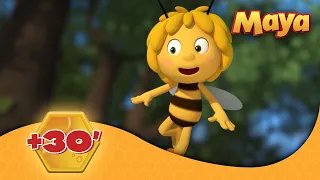 La Abeja Maya 🐝 🕘 Compilación 30'