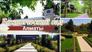 Ботанический сад Алматы приятная прогулка