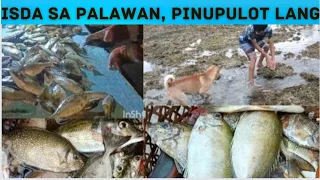 KAWAN NG DANGGIT, SAPUL SA LAMBAT#philippinefishing