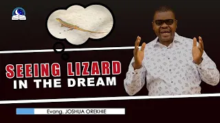 Seeing Lizard in the Dream - Find out the Biblical meaning of Lizard