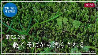 第522回「乾くそばから濡らされる」2022/6/12【毎日の管長日記と呼吸瞑想】｜ 臨済宗円覚寺派管長 横田南嶺老師