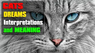 What Do Dreams about Cats Mean? - it is  good to see cat in dream? - Dream Meaning Interpretations