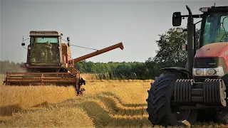 🌾Żniwa 2023🌾Jęczmień Pod Kosę🌾🔥Bizon Z056&Case Maxxum 125🔥