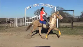 2022 Northeast Texas Kick Off Trail Ride