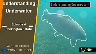 Carp Fishing: Understanding Underwater 4 – How to Fish Bars & Shelves (English Subtitles)