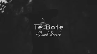 Te Bote (Slowed Reverb) Casper & Darell Ozuna