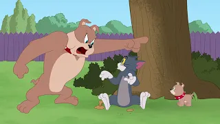 The Tom and Jerry Show   Disappearing Tom