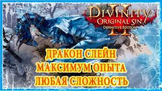 ЗИМНИЙ ДРАКОН СЛЕЙН МАКСИМУМ ОПЫТА 🔥 Divinity Original Sin 2 DE