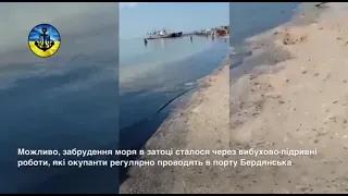 Экологическая катастрофа в Бердянске