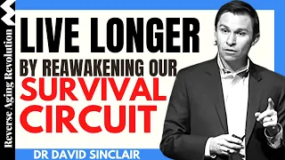 LIVE LONGER By Reawakening Our SURVIVAL CIRCUIT | Dr David Sinclair Interview Clips