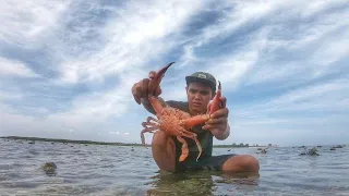 Jumbo Monster Crab from the Remote island of Madura Catch Them With Empty Hand - Catch and Cook