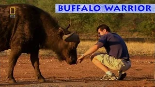 BUFFALO WARRIOR