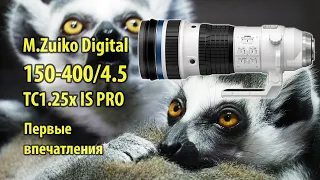 Объектив M.Zuiko Digital ED 150-400/4.5 TC 1.25x IS PRO - первые впечатления