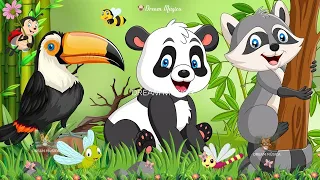 Lovely Animal Sounds In 30 Minutes: Toucan, Panda, Raccoon, Bee, Beetle | Soothing Music