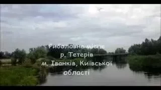 Рибалка на річці Тетерів. м. Іванків | Рыбалка на речке Тетерев. Иванков