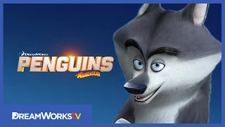 Meet Classified | PENGUINS OF MADAGASCAR