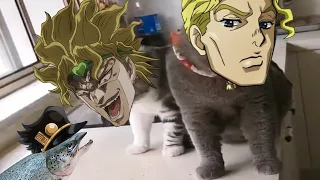 DIO & Kira VS Jotaro