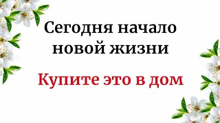 Сегодня начало новой жизни. Купите это в дом.