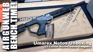 Umarex Notos Unboxing Micro Carbine Goodness - Regulated .22 Caliber Micro Carbine PCP