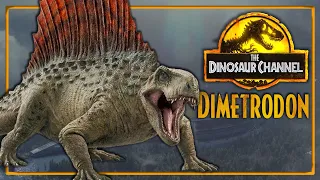 What Was The Dimetrodon? - The Dinosaur Channel