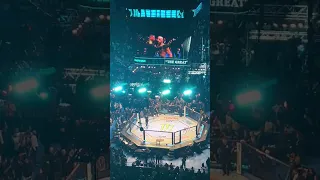 UFC 284 Alexander Volkanovski FULL Walkout