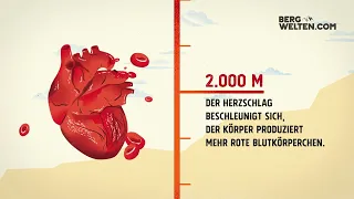 Was die Höhe mit dem Körper macht