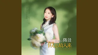 容易受伤的女人