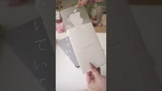 Broken iPad Mischievous Girl TikTok