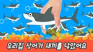 한국어ㅣ우리집 상어가 새끼를 낳았어요. 어린이 동물만화, 해양동물 외우기, 컬렉타ㅣ꼬꼬스토이