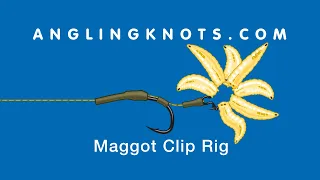 How To Tie The Maggot Clip Rig