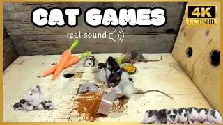 Cat TV for Cats to Watch🐱| Mice grabbing wheat grass, squabble, squeaking & playing for kittens 🐱🐱