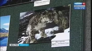 Выставка фотографий "Снежного барса" открылась в Иркутске