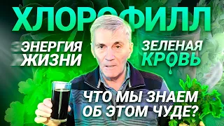 Хлорофилл хвойный жидкий – зачем нужен и как применять