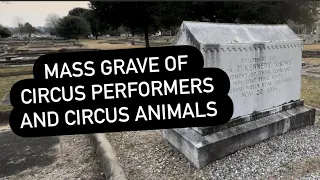 Sad Mass Grave of Circus Performers and Circus Animals