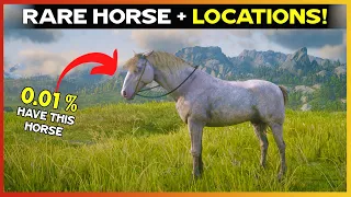 Get RARE Perlino Andalusian Horse with Locations - RDR2