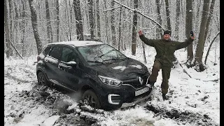 Renault Kaptur, хоть в лес да по грибы!!!