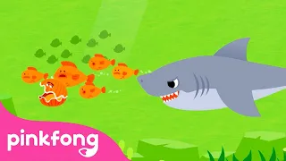 [Baru] Lagu Hiu | Series Binatang Laut | Lagu Anak | Pinkfong dan Baby Shark