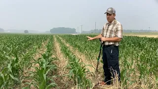 Learning from mistakes with drone seeding and terminating cover crops