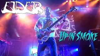 ELDER "Dead Roots Stirring" - Live @ Up in Smoke Fest 2018 [Desert-Rock.com]