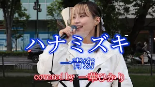 ハナミズキ/一青窈 covered by《一華ひかり》 @ichikahikari