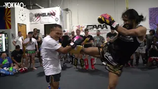 All Saenchai & Superlek sparring in Phoneix | YOKKAO Muay Thai Seminar USA Tour 2022