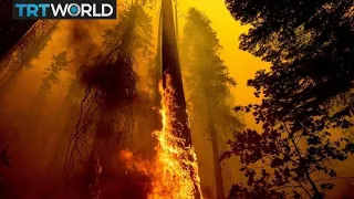 Cost of extreme weather events surged in 2021 | Money Talks