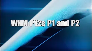 FFXIV P12s WHM Pov