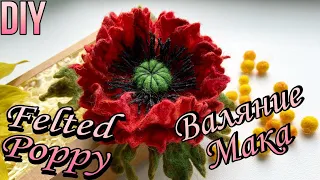 How to make felted poppy brooch DIY. Мастер класс мака.