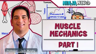 Musculoskeletal System | Muscle Mechanics | Twitch, Summation, & Tetanus