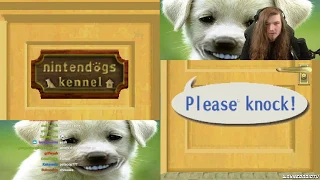 Wayneradiotv - Nintendogs Stream