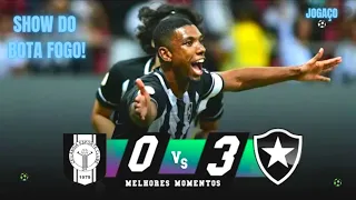 Botafogo 3 x 0 Ceilândia Melhores Momentos